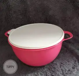 Tupperware Bowl Besar