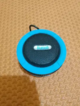 Speaker bluetoot normal