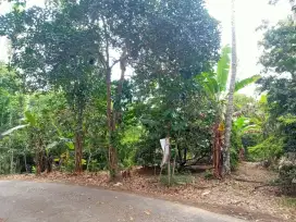 Kebun Sawo 2Ha 85rb/m2 Tanjung medar Sumedang