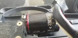 RC Motor Tekin PRO4 spek kompetisi 4600KV