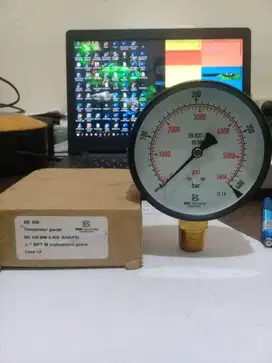 Pressure Gauge Brothoterm 400Bar 5800PSI