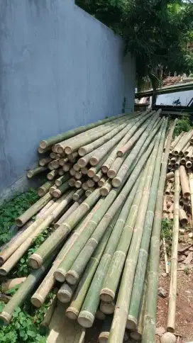 Jual bambu steger & kaso 4x6x400