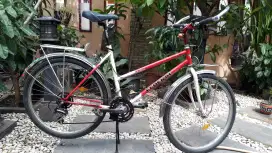 SEPEDA FEDERAL WILDCAT