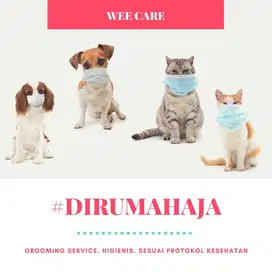 Grooming Mandi Kucing Anjing Surabaya