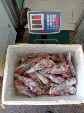 Supplier lidah sapi great A murah surabaya