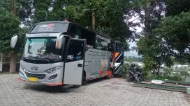 Bus medium NQR 71