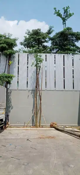 Pembuatan taman dasar untuk kantor pabrik dll.