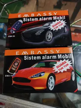 audio mobil alarm dan central lock