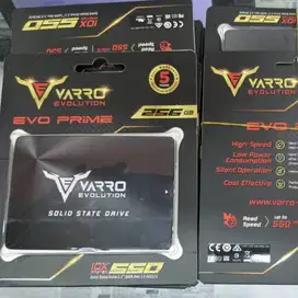 SSD VARRO 256GB SATA