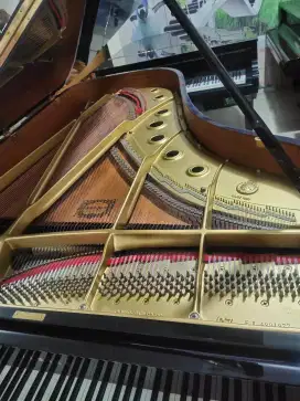 Yamaha C7 II F Concertino limited edition japan