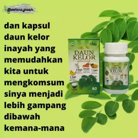 DAUN KELOR KAPSUL