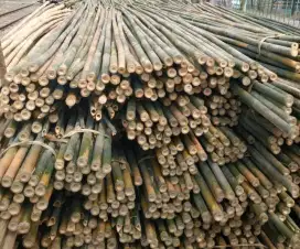 Jual bambu bendera ukuran 3-4CM
