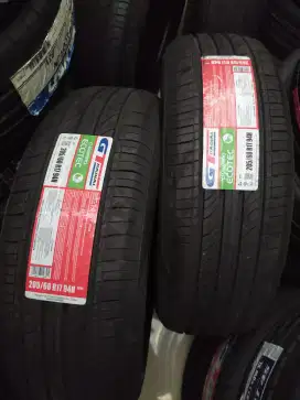 Ban gt champiro ecotec 205 60 17