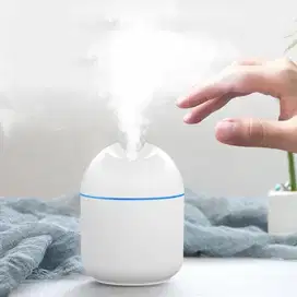 Air Humidifier Aromatherapy Oil Difuser Hydrating Sprayer 250ml 250 ml