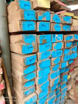 Kayu Damar Laut
