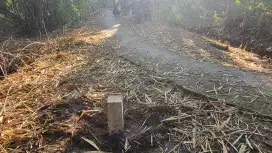 Tanah 299 M2 SHM Pedesaan tt CRV 2017