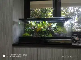 Aquarium aquascape