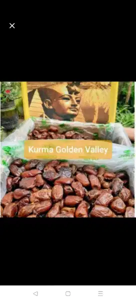 kurma golden valley premium 10 kg