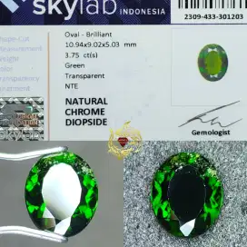 Natural Chrome Diopside 3.75 cts