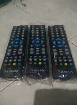 Remote receiver SKYNINDO ASLI