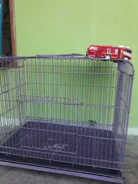 Kandang kucing ukuran besar