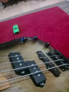Bass ibanez sdgr