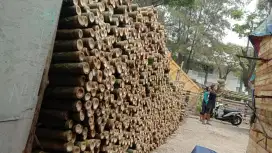 jual bambu steger 8 9