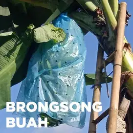 Brongsong Pisang, Awet Kualitas Bukan Kaleng-kaleng!