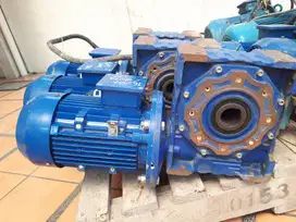 Couple Motor Gear 3 HP 1420 rpm 3 phase / NMRV 110 1:60 (A-447)