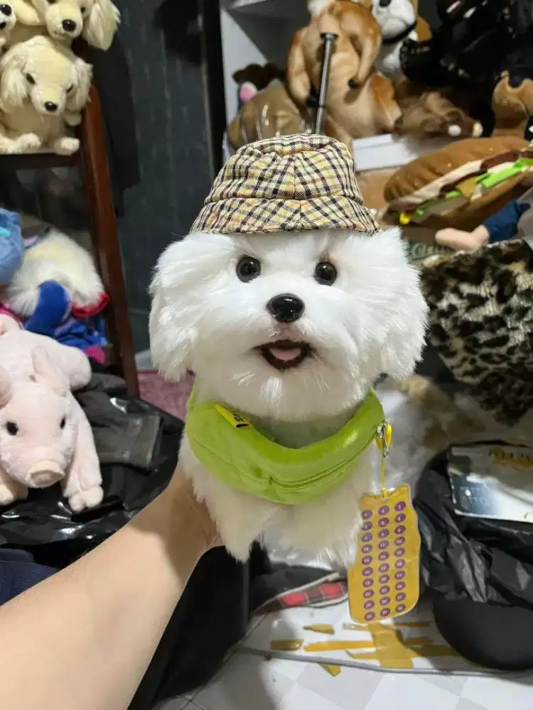 Boneka Anjing Bichon Import Jepang Original Bichon Puppy Maltese
