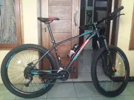 Sepeda Mtb Polygon Xtrada 5 2019