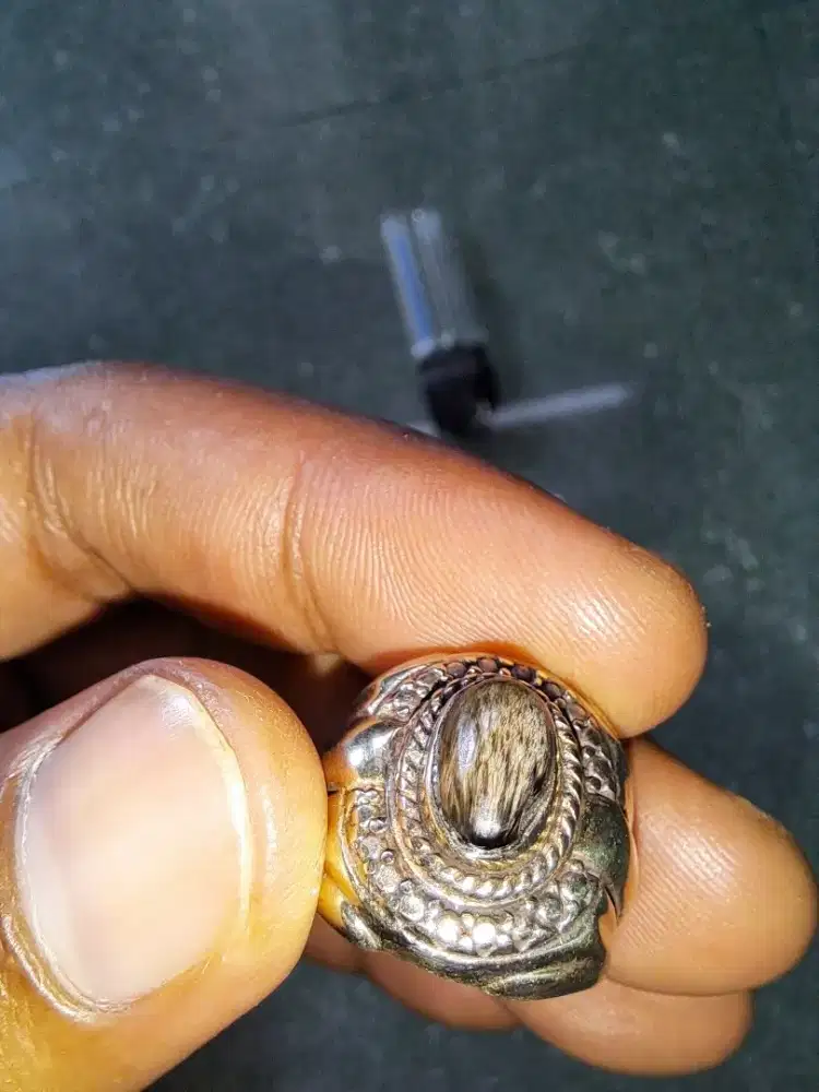 Bulu macan lumajang