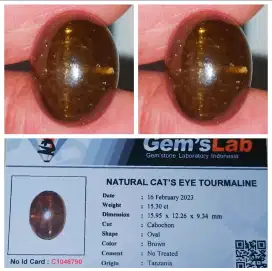 Natural Cat's Eye Tourmaline