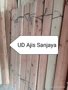 Kayu jati belanda