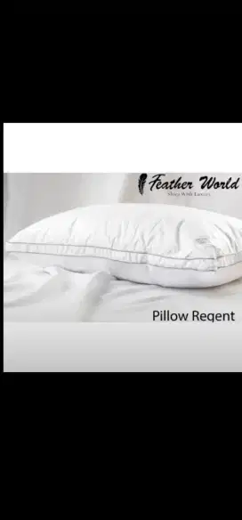 Bantal bulu angsa feather world type regent