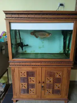 ikan arwana jual dengan lemari akuarium