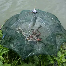 Jaring Bubu Perangkap Ikan Fishing Strap 6 lubang