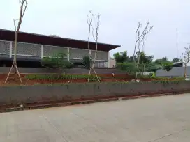 Pembuatan taman dasar dan berbagai model taman. Untuk rumah.dan pabrik