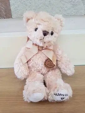Boneka Beruang Teddy Bear Safari TESEUM ORIGINAL Korea