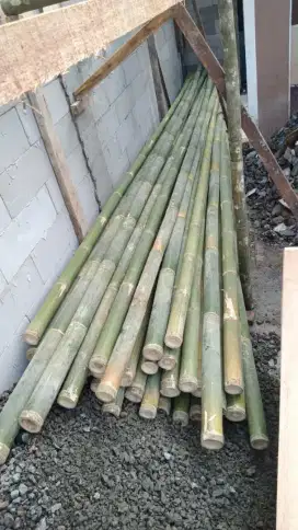 Jual bambu steger proyek