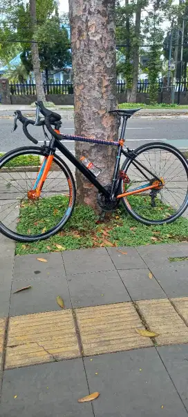 Roadbike polygon S2