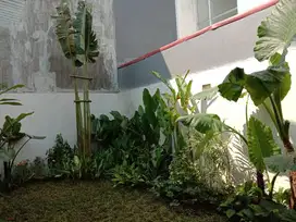 Tukang taman Vimalla Hills Bogor