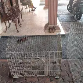 Kandang anjing kecil ada 2 kandang seperti sicue,pop dan sejenisnya