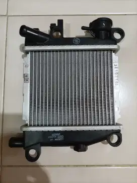 Radiator Yamaha Xeon 125 karbu