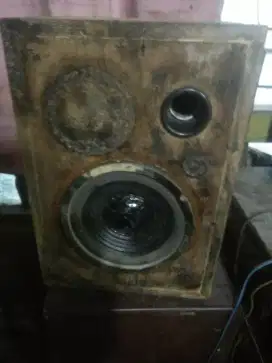 Sepiker 8 inchi dan box nya