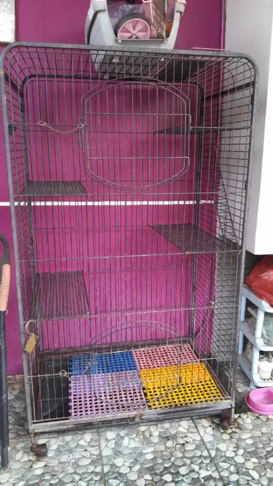 Kandang besi bekas kucing