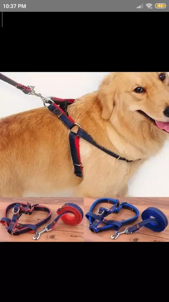 Harness Tali Tuntun Anjing/Kucing Baru