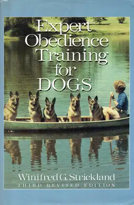 Expert Obedience Training For Dogs