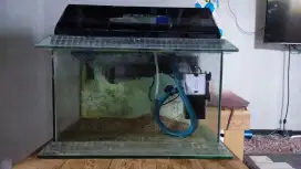 Aquarium all in 1