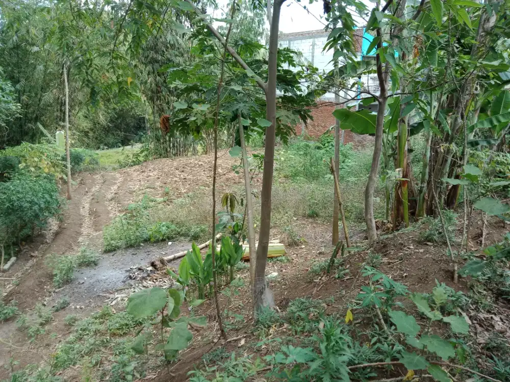 Tanah dekat Enak Eco malang